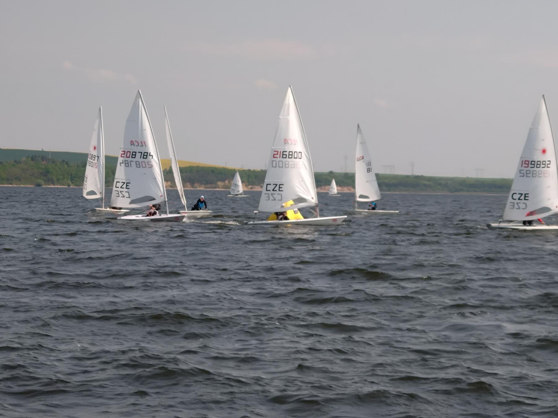 DSC_1454.JPG