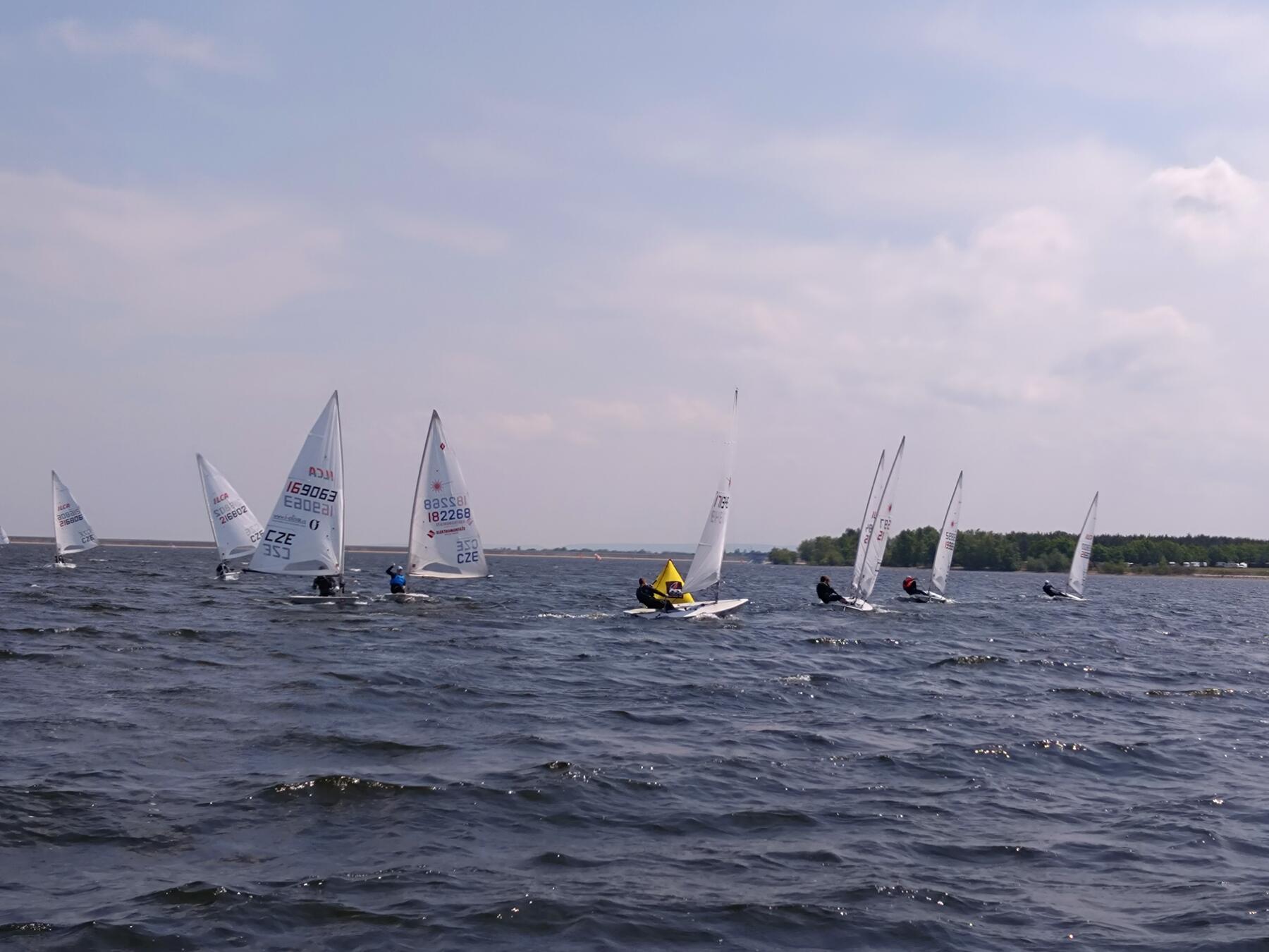 DSC_1595.JPG