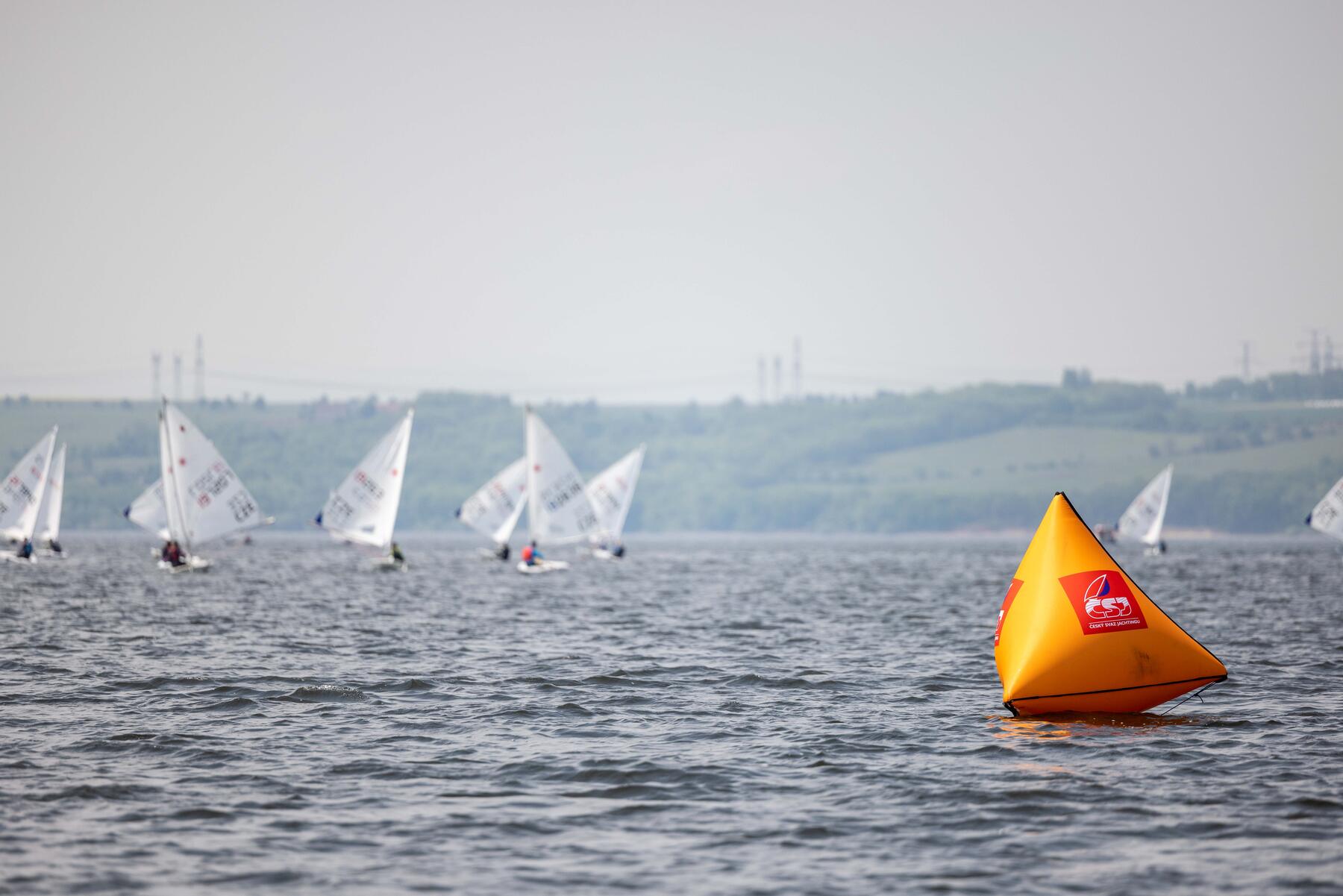 _MG_1142.jpg
