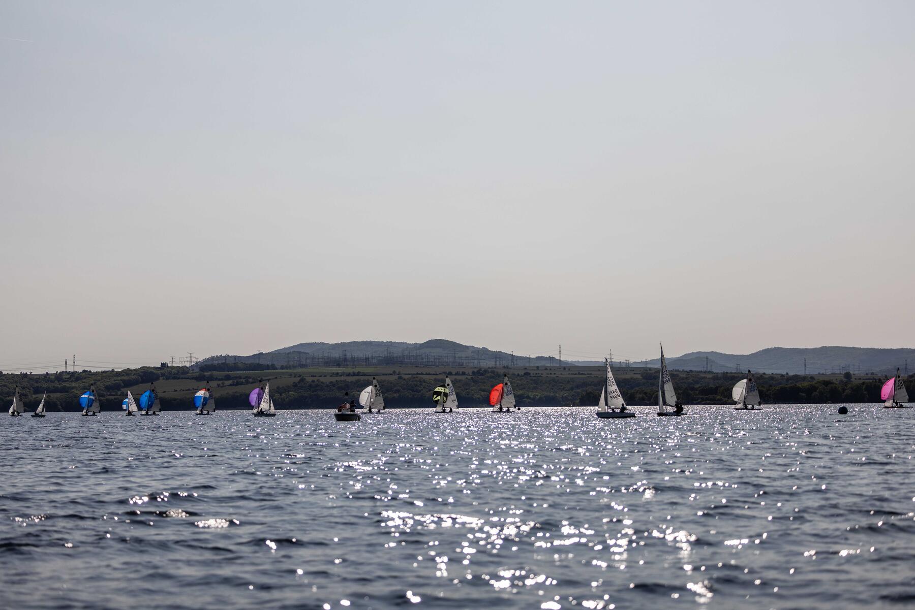 _MG_2890.jpg