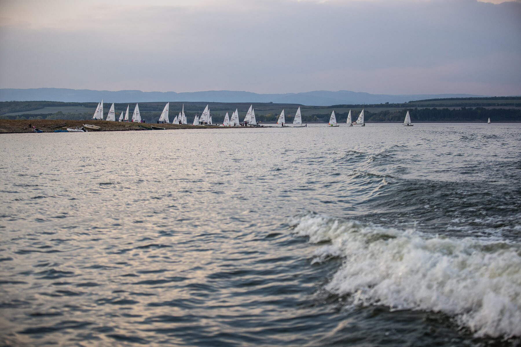 _MG_0804.jpg