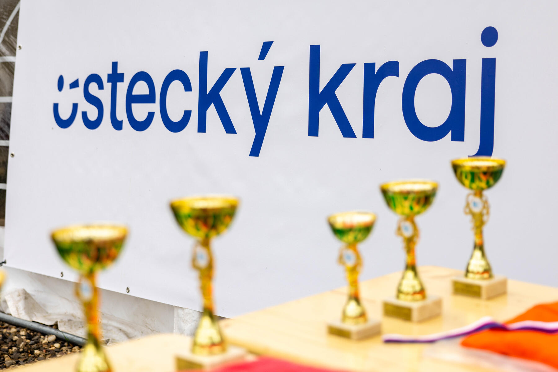 _MG_2993.jpg
